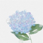 일러스트, 수채화, 수채꽃그림, 꽃, 꽃그림, 사진,이미지,일러스트,캘리그라피 - ddocjooo작가 크라우드픽 - 저작권 걱정 없는 상업용 이미지