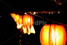 호롱불, 풍등, 호롱, 등불, 등잔, 사진,이미지,일러스트,캘리그라피 - 사료주는남자작가 크라우드픽 - 저작권 걱정 없는 상업용 이미지