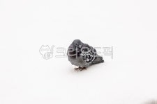 bird, 새, animal, 동물, 비둘기, 사진,이미지,일러스트,캘리그라피 - elisank79작가 크라우드픽 - 저작권 걱정 없는 상업용 이미지
