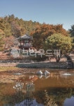 안동민속촌, 석상, 분수, 저수지, 호수, 사진,이미지,일러스트,캘리그라피 - 최승현작가 크라우드픽 - 저작권 걱정 없는 상업용 이미지