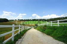 길, 목장, 목책, 풍경, 목장길, 사진,이미지,일러스트,캘리그라피 - 프리이미지작가 크라우드픽 - 저작권 걱정 없는 상업용 이미지