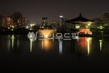 야경, 공원, 한밭수목원, 연못, 정자, 사진,이미지,일러스트,캘리그라피 - leekom작가 크라우드픽 - 저작권 걱정 없는 상업용 이미지