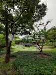 공원, 팔각정, 나무, 정자, 초록색, 사진,이미지,일러스트,캘리그라피 - 얼른낭자작가 크라우드픽 - 저작권 걱정 없는 상업용 이미지