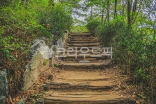 산, 공원, 숲, 길, 둘레길, 사진,이미지,일러스트,캘리그라피 - imlover작가 크라우드픽 - 저작권 걱정 없는 상업용 이미지