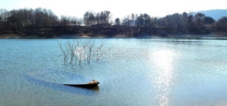 호수, 대청호, 나룻배, 호숫가, 윤슬, 사진,이미지,일러스트,캘리그라피 - BL작가 크라우드픽 - 저작권 걱정 없는 상업용 이미지