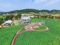 회산백련지, 유리온실, 온실, 저수지, 연잎, 사진,이미지,일러스트,캘리그라피 - cstrike작가 크라우드픽 - 저작권 걱정 없는 상업용 이미지