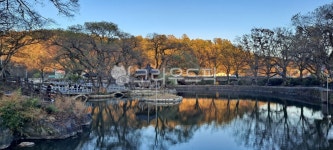 정원, 나무, tree, garden, 정자, 사진,이미지,일러스트,캘리그라피 - phibm작가 크라우드픽 - 저작권 걱정 없는 상업용 이미지