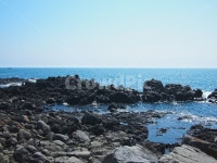제주도, 바다, 풍경, 여름, 화산암, 사진,이미지,일러스트,캘리그라피 - winrain작가 크라우드픽 - 저작권 걱정 없는 상업용 이미지