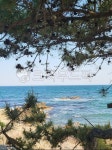 영덕, 남호해수욕장, 해변, 바다, nature, 사진,이미지,일러스트,캘리그라피 - lyj95811작가 크라우드픽 - 저작권 걱정 없는 상업용 이미지