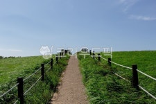 삼양목장, 목장, 산, 언덕, 들판, 사진,이미지,일러스트,캘리그라피 - pobiris작가 크라우드픽 - 저작권 걱정 없는 상업용 이미지