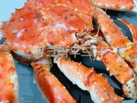 킹크랩, 대게, 게, 해물, 왕게, 사진,이미지,일러스트,캘리그라피 - 먹방작가 크라우드픽 - 저작권 걱정 없는 상업용 이미지