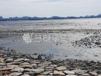 갯벌, 진흙, 썰물, 뻘, 바다, 사진,이미지,일러스트,캘리그라피 - 쉼표더하기작가 크라우드픽 - 저작권 걱정 없는 상업용 이미지