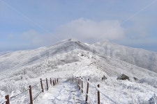소백산, 눈꽃풍경, 상고대, 겨울풍경, 국립공원, 사진,이미지,일러스트,캘리그라피 - 릴작가 크라우드픽 - 저작권 걱정 없는 상업용 이미지