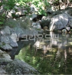 백운산숲속의아침펜션, 광양, 옥룡계곡, 광양계곡, 여름계곡, 사진,이미지,일러스트,캘리그라피 - 순간순간작가 크라우드픽 - 저작권 걱정 없는... 
