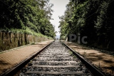 항동, 철길, 여름, 중앙, 대칭, 사진,이미지,일러스트,캘리그라피 - archi joo작가 크라우드픽 - 저작권 걱정 없는 상업용 이미지