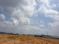 시골, 풍경, 농로, 가을느낌, 한국자연풍경, 사진,이미지,일러스트,캘리그라피 - 별똥마마작가 크라우드픽 - 저작권 걱정 없는 상업용 이미지