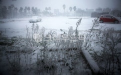 제주, 함덕, 함덕해수욕장, 해안가, 자연, 사진,이미지,일러스트,캘리그라피 - 다루엘라작가 크라우드픽 - 저작권 걱정 없는 상업용 이미지