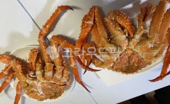 food, 음식, seafood, 해물, 대게, 사진,이미지,일러스트,캘리그라피 - i_hyeon326_작가 크라우드픽 - 저작권 걱정 없는 상업용 이미지