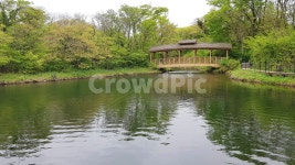 숲속, 연못, 다리, 나무, 호수, 사진,이미지,일러스트,캘리그라피 - norangson작가 크라우드픽 - 저작권 걱정 없는 상업용 이미지