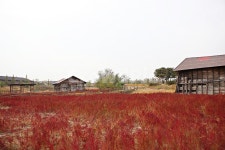 소금창고, 창고, 옛날창고, 시흥갯골생태공원, 식물, 사진,이미지,일러스트,캘리그라피 - 함께사는세상작가 크라우드픽 - 저작권 걱정 없는 상업용... 