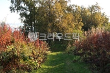 plant, 오솔길, 숲, 숲길, 농장, 사진,이미지,일러스트,캘리그라피 - ilang작가 크라우드픽 - 저작권 걱정 없는 상업용 이미지