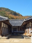 한옥, 기와지붕, 가을산아래, 단풍, 마당넒은한옥, 사진,이미지,일러스트,캘리그라피 - 소피마르소작가 크라우드픽 - 저작권 걱정 없는 상업용 이미지
