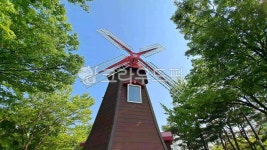 창천근린공원, 풍차, 신촌, 나무, 옥외, 사진,이미지,일러스트,캘리그라피 - 쓰리에스작가 크라우드픽 - 저작권 걱정 없는 상업용 이미지