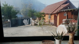 황토방, 소나무, 산, 안개, 기와집, 사진,이미지,일러스트,캘리그라피 - Nphseo59작가 크라우드픽 - 저작권 걱정 없는 상업용 이미지