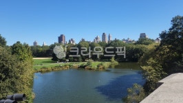 공원, nature, 자연, outdoors, 옥외, 사진,이미지,일러스트,캘리그라피 - grace5210작가 크라우드픽 - 저작권 걱정 없는 상업용 이미지