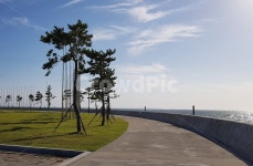 산책, 산책로, 여름, 바다산책, 바닷가, 사진,이미지,일러스트,캘리그라피 - Nijin86작가 크라우드픽 - 저작권 걱정 없는 상업용 이미지