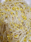 데친콩나물, 콩나물, 콩나물데침, 음식, 요리, 사진,이미지,일러스트,캘리그라피 - 먹방작가 크라우드픽 - 저작권 걱정 없는 상업용 이미지