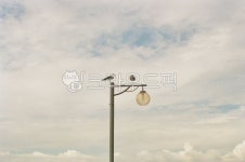 하늘, 갈매기, 가로등, 구름, cloudy, 사진,이미지,일러스트,캘리그라피 - 돋준작가 크라우드픽 - 저작권 걱정 없는 상업용 이미지