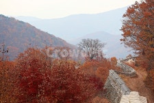 남한산성, 성곽, 성, 단풍, 낙엽, 사진,이미지,일러스트,캘리그라피 - youngwon작가 크라우드픽 - 저작권 걱정 없는 상업용 이미지