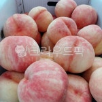 딱딱, 복숭아, 여름, 제철, 경봉, 사진,이미지,일러스트,캘리그라피 - 찌장작가 크라우드픽 - 저작권 걱정 없는 상업용 이미지