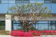 서울, 안암동, 고려대학교, 고려대, 캠퍼스, 사진,이미지,일러스트,캘리그라피 - imlover작가 크라우드픽 - 저작권 걱정 없는 상업용 이미지