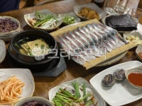 고등어회, 회, 고등어, 제주도, 제주도음식, 사진,이미지,일러스트,캘리그라피 - rhkd2101작가 크라우드픽 - 저작권 걱정 없는 상업용 이미지