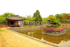 월미공원, 전통정원, 공원, 정원, 한국, 사진,이미지,일러스트,캘리그라피 - imlover작가 크라우드픽 - 저작권 걱정 없는 상업용 이미지