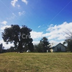 호주, 시골, 농장, 평화로운, 일상, 사진,이미지,일러스트,캘리그라피 - elin작가 크라우드픽 - 저작권 걱정 없는 상업용 이미지