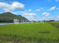 자연, nature, 농장, farm, sky, 사진,이미지,일러스트,캘리그라피 - 백년살이작가 크라우드픽 - 저작권 걱정 없는 상업용 이미지