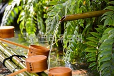 가을, 계절, 정원, 식수, 나무, 사진,이미지,일러스트,캘리그라피 - 부에노작가 크라우드픽 - 저작권 걱정 없는 상업용 이미지