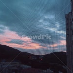 노을, 아침, 구름, 분홍, 하늘, 사진,이미지,일러스트,캘리그라피 - lewis030작가 크라우드픽 - 저작권 걱정 없는 상업용 이미지