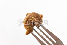 골뱅이, 고둥, 고둥류, 해산물, 해물, 사진,이미지,일러스트,캘리그라피 - Ntjdals2245작가 크라우드픽 - 저작권 걱정 없는 상업용 이미지