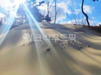 사막, 모래, 태안, 갈음이, 해수욕장, 사진,이미지,일러스트,캘리그라피 - Nbluesky7821작가 크라우드픽 - 저작권 걱정 없는 상업용 이미지