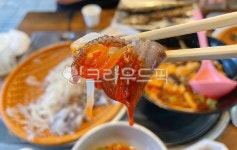 산오징어회, 오징어회, 회, 오징어, 산오징어, 사진,이미지,일러스트,캘리그라피 - 먹방작가 크라우드픽 - 저작권 걱정 없는 상업용 이미지