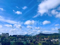 풍경, 하늘, 나무, 산, 초록, 사진,이미지,일러스트,캘리그라피 - ZoeYoon작가 크라우드픽 - 저작권 걱정 없는 상업용 이미지