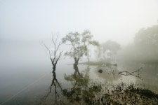 금강로하스, 대전광역시대덕구미호동, 로하스의봄, 대청호오백리길, 금강, 사진,이미지,일러스트,캘리그라피 - 순딩이작가 크라우드픽 - 저작권... 