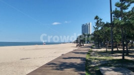 강릉, 바다, 해변, 산책, 산책길, 사진,이미지,일러스트,캘리그라피 - 필릴리작가 크라우드픽 - 저작권 걱정 없는 상업용 이미지