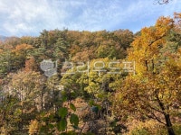 가을, autumn, 단풍, 산, mountain, 사진,이미지,일러스트,캘리그라피 - 꺄도작가 크라우드픽 - 저작권 걱정 없는 상업용 이미지