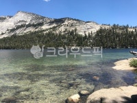자연, nature, 하늘, 푸르름, 푸름, 사진,이미지,일러스트,캘리그라피 - waytome작가 크라우드픽 - 저작권 걱정 없는 상업용 이미지