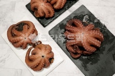 돌문어, 문어, 문어회, 숙회, 요리, 사진,이미지,일러스트,캘리그라피 - 인동초작가 크라우드픽 - 저작권 걱정 없는 상업용 이미지